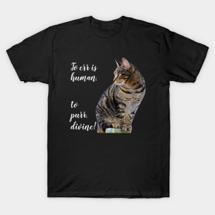 Tabby Cat Inspirational Quote, Cute Funny Cat Lovers Designs T-Shirt